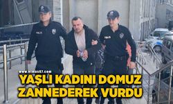 Çöp toplamaya giden yaşlı kadını domuz zannederek vurdu