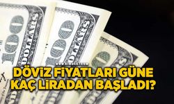 Serbest piyasada döviz fiyatları ne kadar oldu?