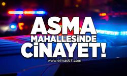 Asma mahallesinde cinayet!