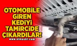 Otomobile giren kediyi tamircide çıkardılar