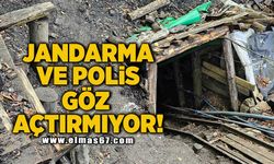 Jandarma ve Polis göz açtırmıyor!