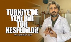 Türkiye'de yeni bir tür keşfedildi!