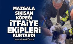 Mazgala sıkışan köpeği itfaiye ekipleri kurtardı!