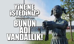 Yine ne istediniz?