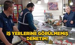 İş yerlerine görülmemiş denetim!