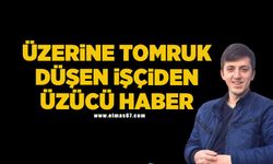 Üzerine tomruk düşen işçi, 1 ay sonra hastanede öldü