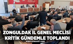 Zonguldak İl Genel Meclisi, Kritik Gündemle Toplandı