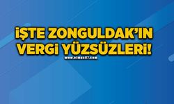 İşte Zonguldak'ın vergi yüzsüzleri!