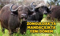 Zonguldak'ta mandacılıkta yeni bir dönem