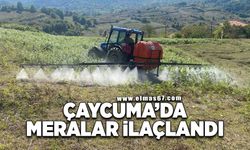 Çaycuma'da meralar ilaçlandı