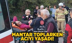 Mantar toplarken ayağı kırılan kadını ekipler kurtardı