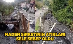 Maden şirketinin dereye bıraktığı atıklar sele sebep oldu