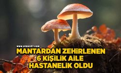 Mantardan zehirlenen 6 kişi hastanelik oldu