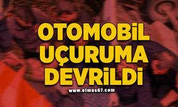 Otomobil uçuruma devrildi: 1 yaralı