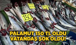 Palamut fiyatı düştü, vatandaş ilgi gösterdi