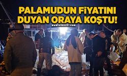 Palamudun fiyatını duyan limana koştu