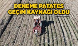 Deneme patates, iki ilçenin geçim kaynağı oldu