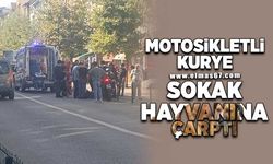 Motosikletli kurye sokak köpeğine çarptı