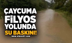 Çaycuma-Filyos yolunda su baskınları