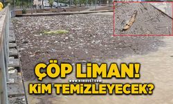 Zonguldak Limanı çöp doldu: Kim temizleyecek?