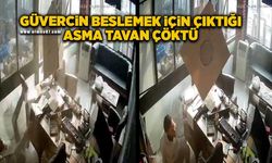 Güvercin beslemek için çıktığı asma tavan çöktü