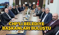 CHP’li belediye başkanları Zonguldak'ta bir araya geldi