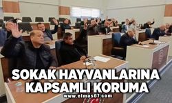 SOKAK HAYVANLARINA KAPSAMLI KORUMA