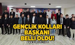 Gençlik kolları başkanı belli oldu!