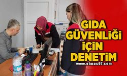 Gıda güvenliği için denetim