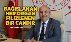 Bağışlanan her organ filizlenen bir candır