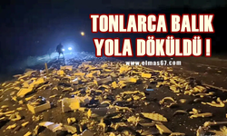 Büyük talihsizlik: Tonlarca balık yola döküldü!