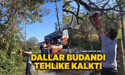 Ağaç dalları budandı tehlike ortadan kalktı