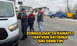 Zonguldak'ta kanatlı hayvan satışına sıkı denetim