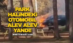 Park halindeki otomobil alev alev yandı