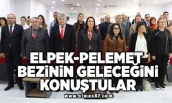 Elpek-pelemet bezinin geleceğini konuştular