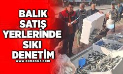 Balık satış yerlerinde sıkı denetim!