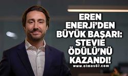 EREN ENERJİ’DEN BÜYÜK BAŞARI: STEVIE ÖDÜLÜ'NÜ KAZANDI!