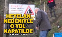 Heyelan nedeniyle o yol kapatıldı!