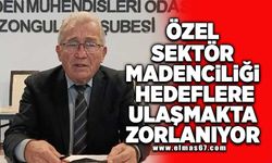 "Özel sektör madenciliği hedeflere ulaşmakta zorlanıyor"