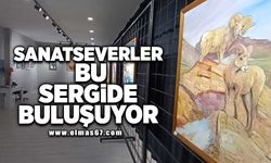 Sanatseverler bu sergide buluşuyor!