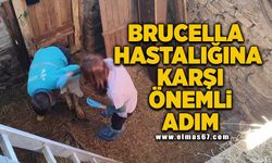 Brucella hastalığına karşı önemli adım