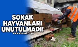 Sokak hayvanları unutulmadı!