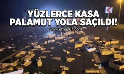 Yüzlerce kasa palamut yola saçıldı!