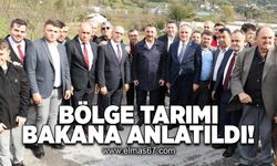 Bölge tarımı bakana anlatıldı!