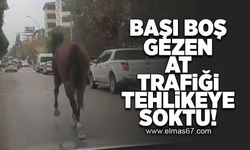 Başı boş gezen at trafiği  tehlikeye soktu!