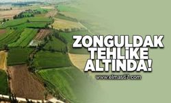 Zonguldak tahlike altında!