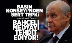 Basın konseyinden sert tepki!