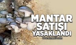 Mantar satışı yasaklandı!