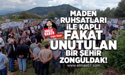 Maden ruhsatları ile kaplı fakat unutulan bir şehir Zonguldak!