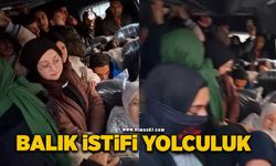 Balık istifi yolculuk kamerada